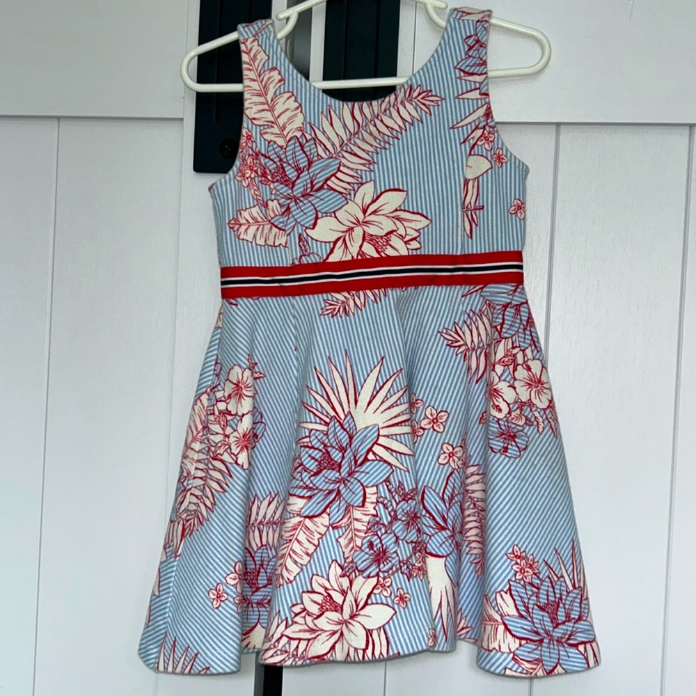 Fit and flare Janie and Jack dress